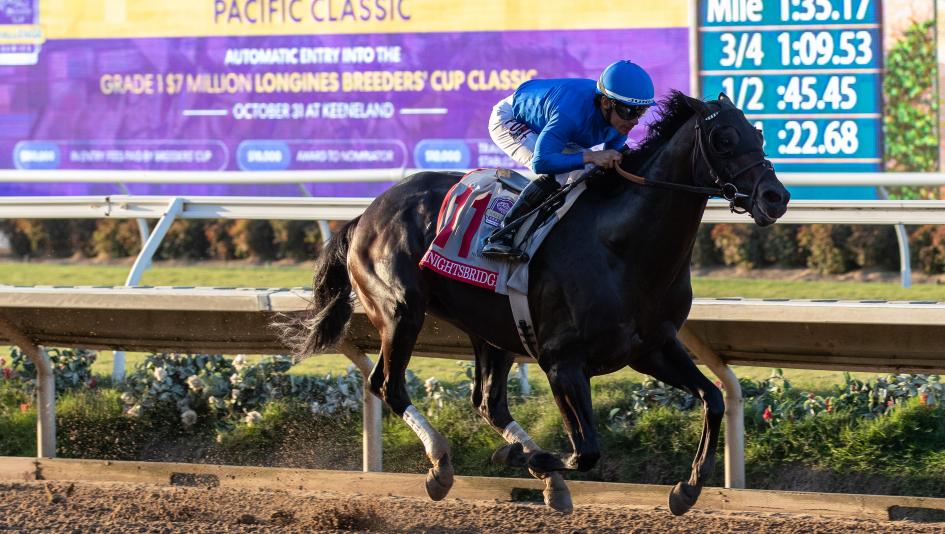2026 Breeders' Cup Classic, Sovereignty, Forever Young, Knightsbridge, Breeders' Cup Power Rankings